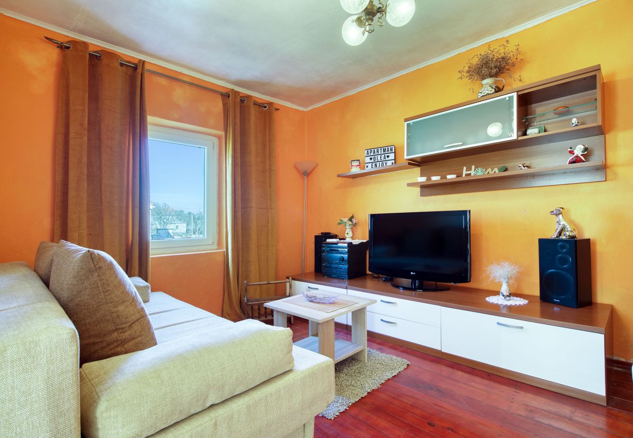 Ferienhaus in Ražanac - Ferienhaus Rudic mit großem Garten
