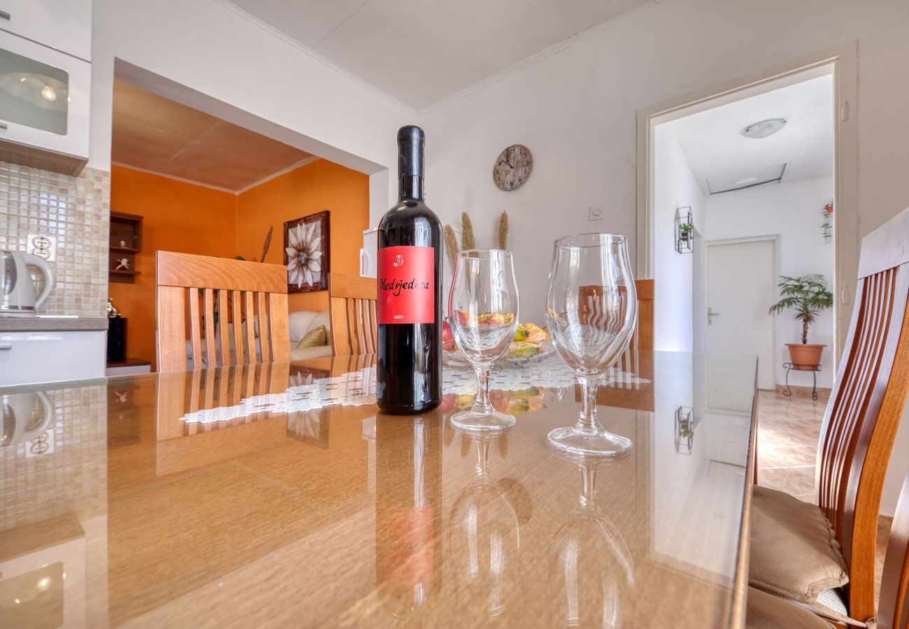 Ferienhaus in Ražanac - Ferienhaus Rudic mit großem Garten