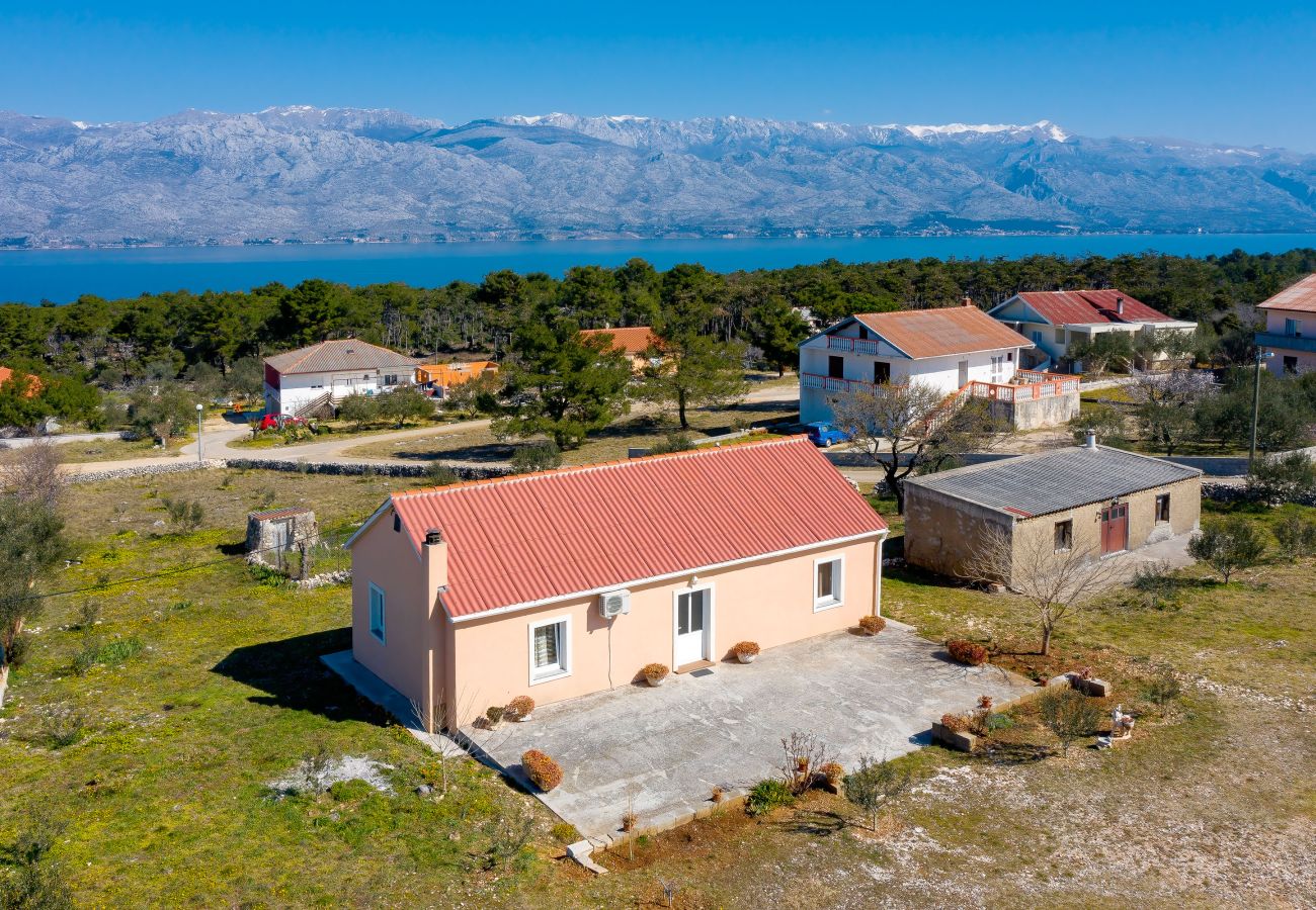 Ferienhaus in Ražanac - Ferienhaus Rudic mit großem Garten