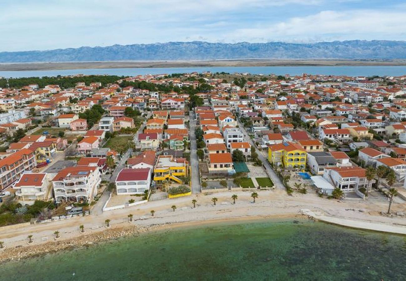 Ferienwohnung in Vir - Ferienwohnung Cicak No 1 Strandnah