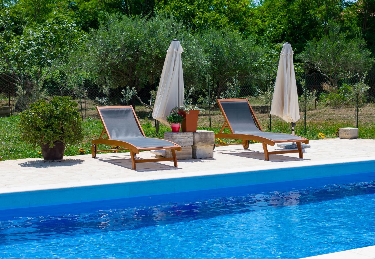 Ferienhaus in Vrsi - Ferienhaus Pomalo mit Pool 