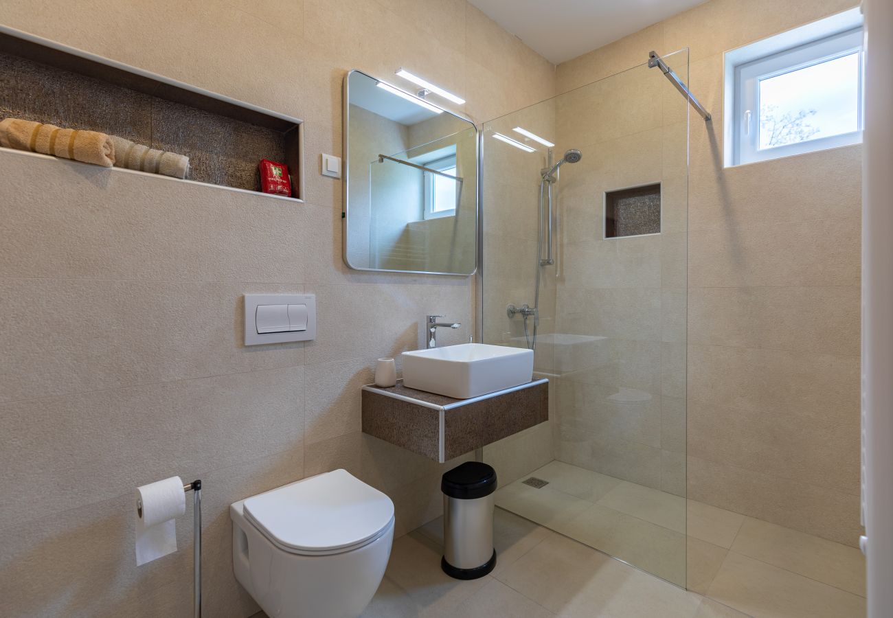 Ferienhaus in Vrsi - Ferienhaus Pomalo mit Pool 