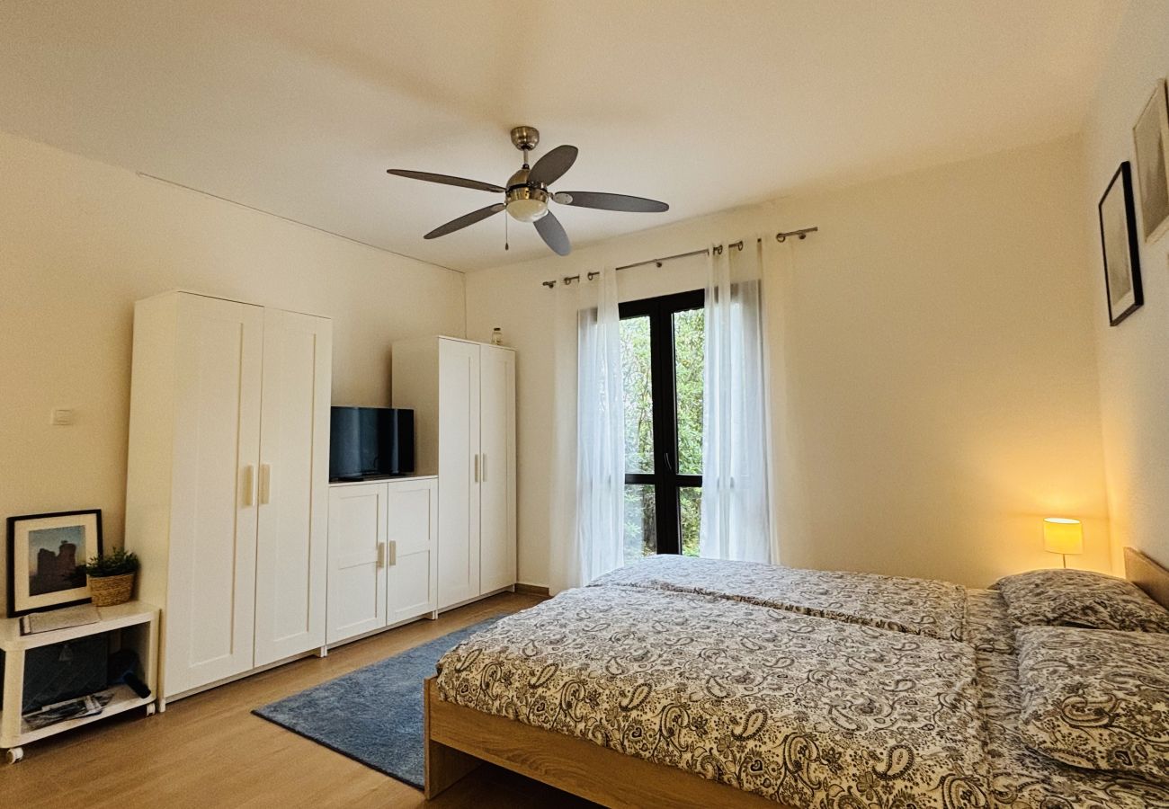 Studio in Starigrad - Studio Hibis 1 nahe Strand
