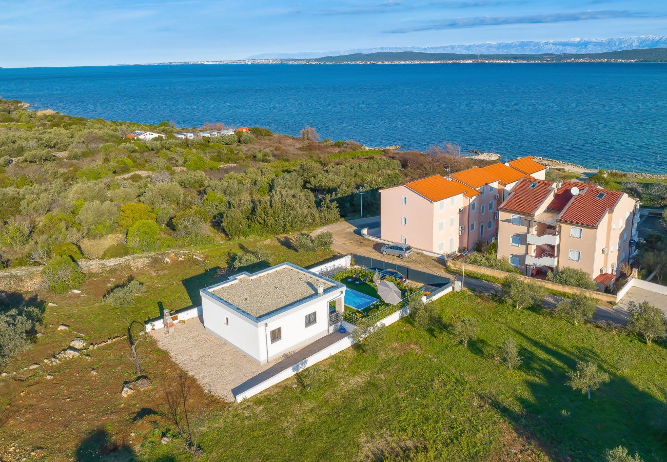 Ferienhaus in Dobropoljana - Ferienhaus Orchid Stay mit Pool