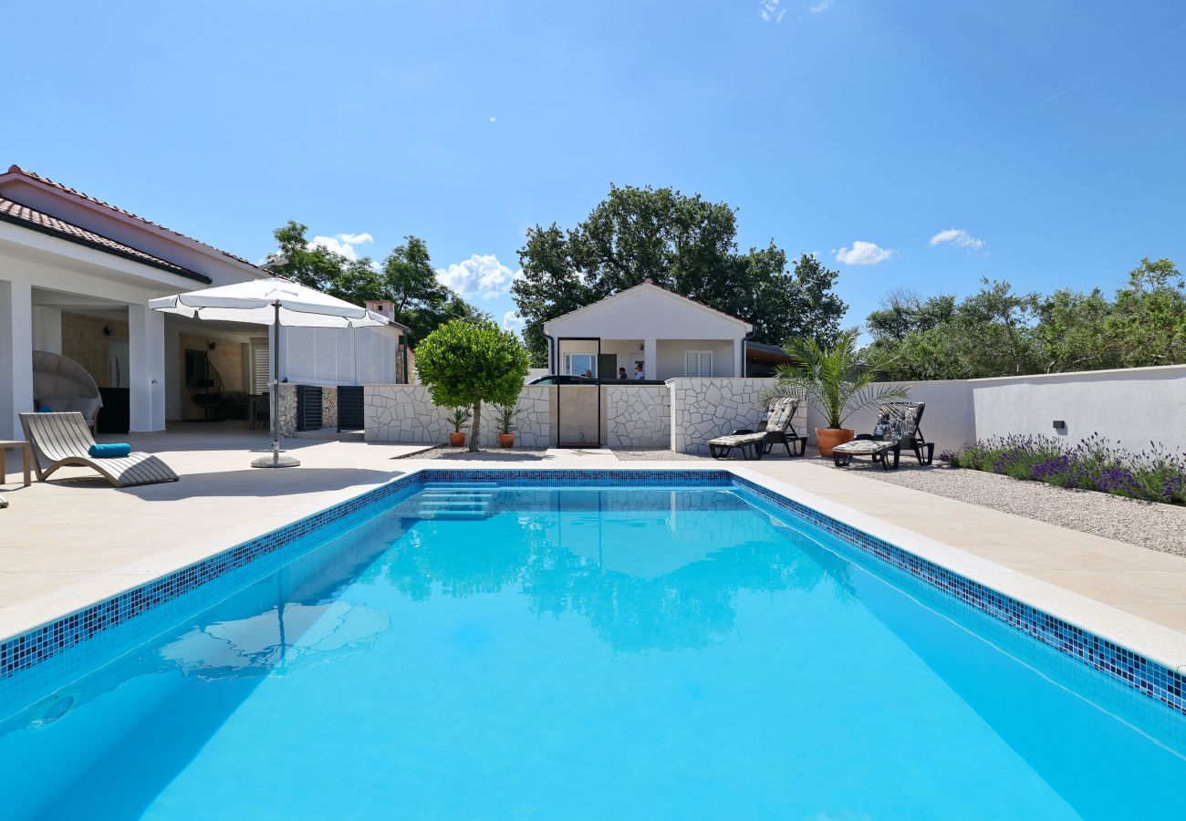 Ferienhaus in Vrsi - Ferienhaus Luca mit Pool und Terrasse