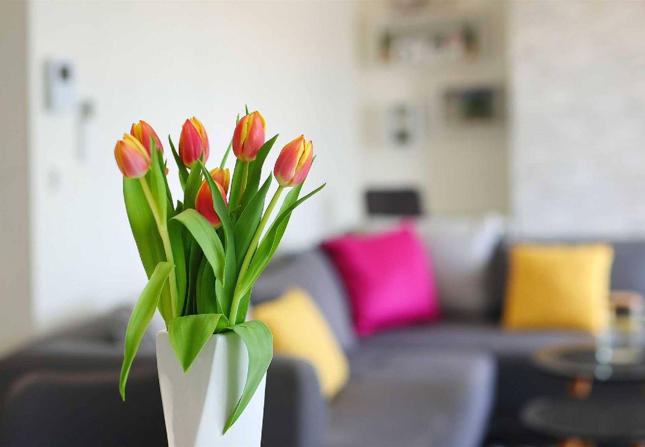 Ferienwohnung in Zadar -  Ferienwohnung Luxury Apartment 2 mit Terrasse