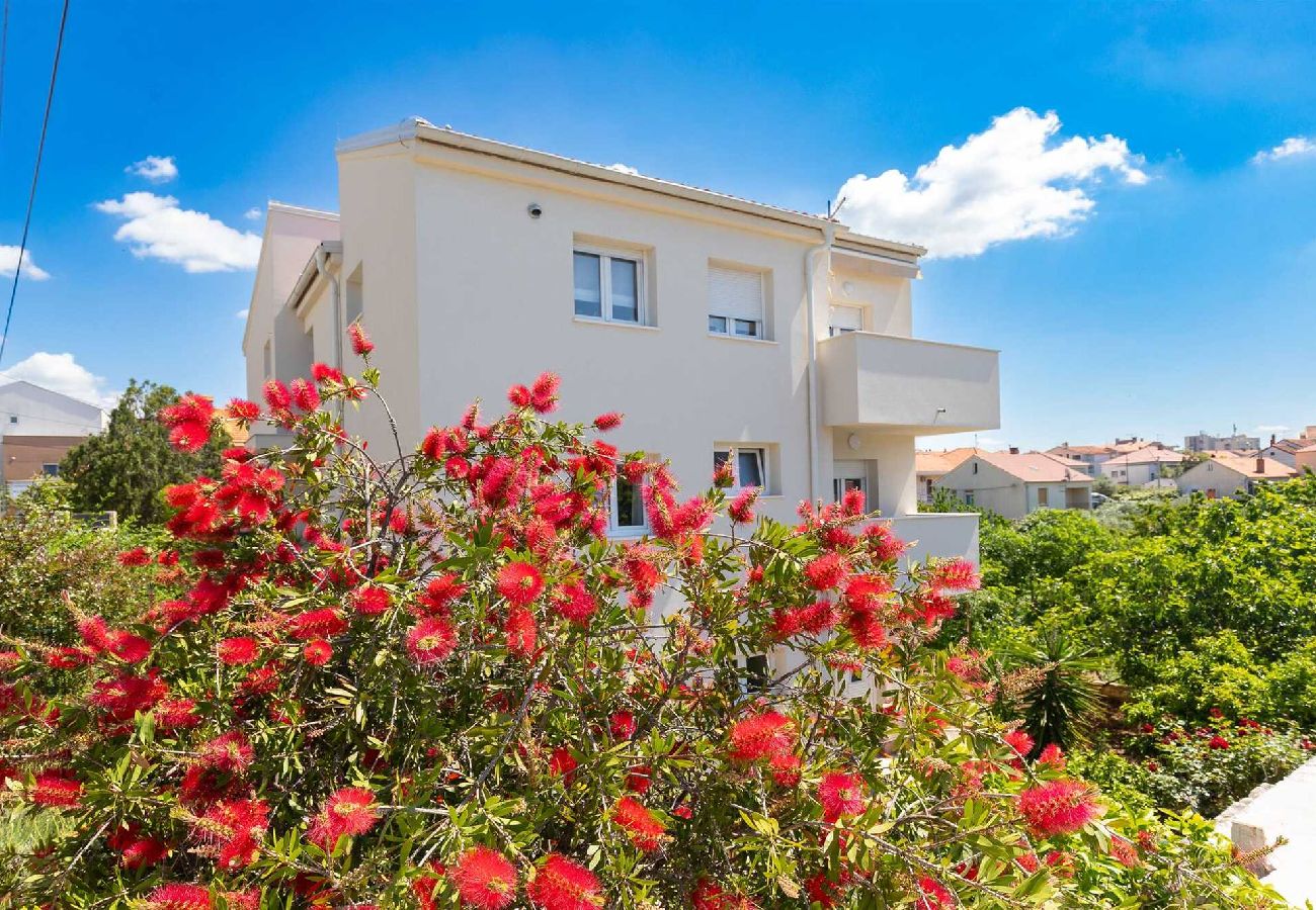 Ferienwohnung in Zadar - Ferienwohnung Klanac 1 mit Balkon