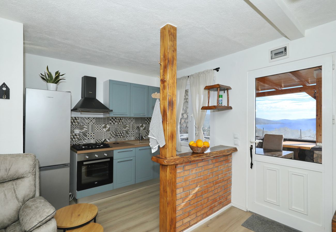 Ferienhaus in Dobropoljana - Ferienhaus Despoja nahe Naturstrand