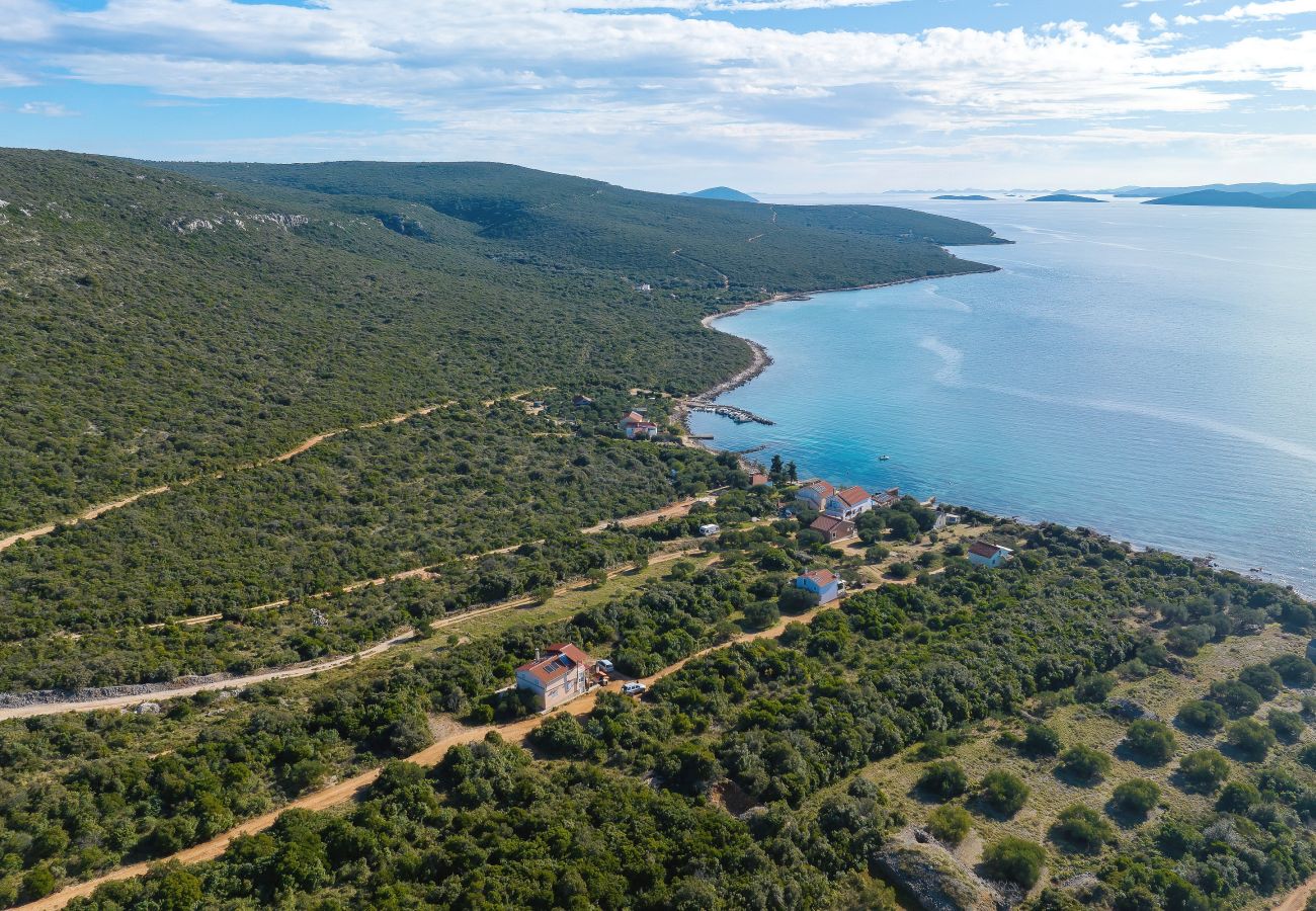 Ferienhaus in Dobropoljana - Ferienhaus Despoja nahe Naturstrand