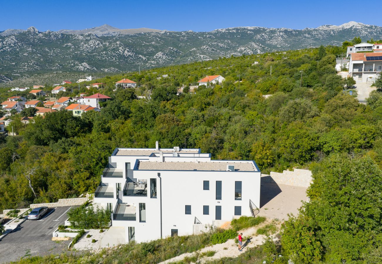 Ferienwohnung in Rovanjska - Ferienwohnung Bay View mit Privatpool