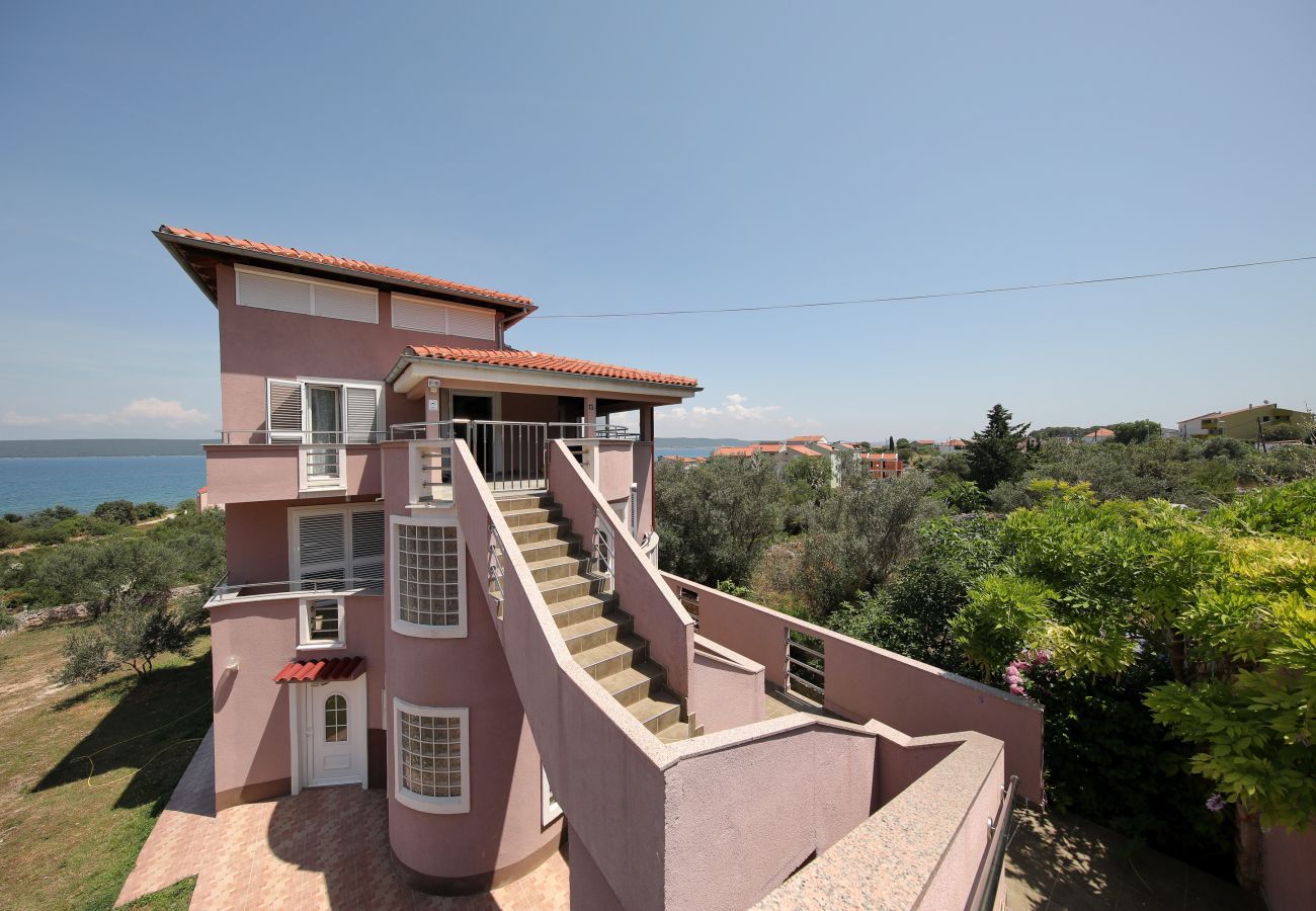 Ferienwohnung in Dobropoljana - Ferienwohnung Luma mit Privatpool